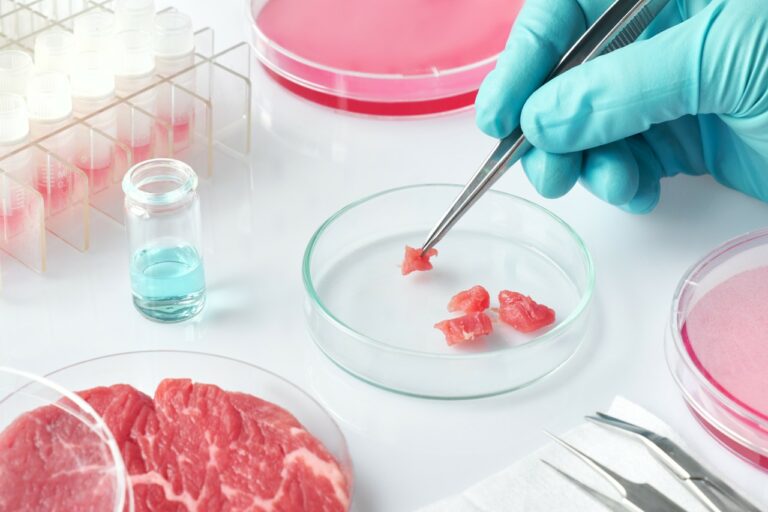 Nestlé collabore avec Future Meat Technologies