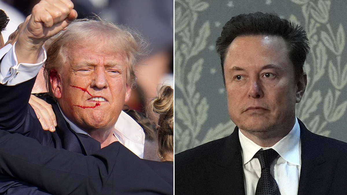 découvrez comment donald trump et elon musk se distinguent en tant que champions du cost-killing, transformant leurs entreprises et stratégies pour optimiser les coûts tout en maximisant l'innovation. plongez dans leurs méthodes audacieuses et leurs approches uniques qui redéfinissent le succès financier dans le monde moderne.