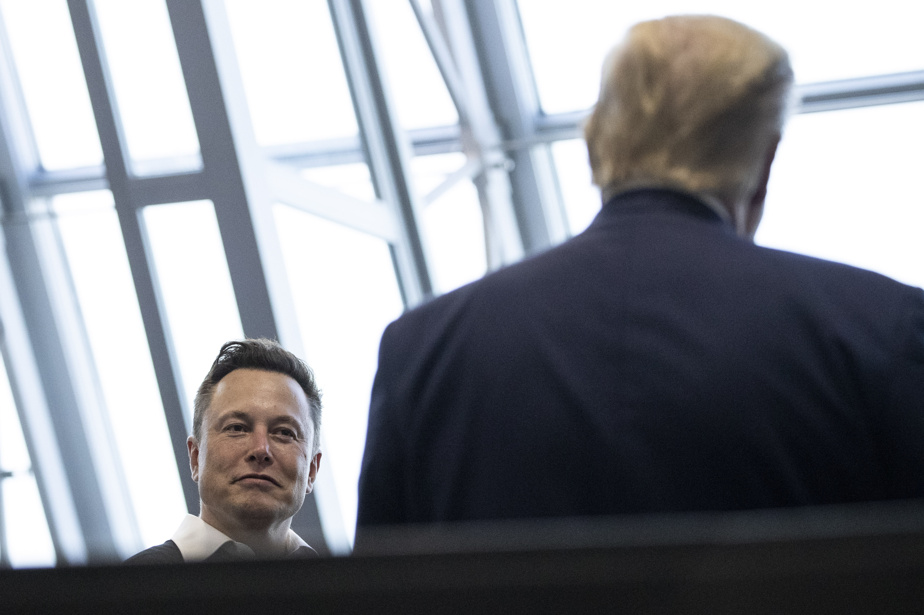 découvrez notre analyse approfondie des critiques économiques concernant les politiques de donald trump et les ambitions entrepreneuriales d'elon musk. explorez les impacts de leurs décisions sur le marché et l'innovation.