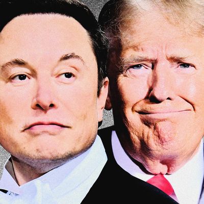 découvrez comment le duo improbable de trump et musk influence les marchés financiers. analysez leur impact sur l'économie moderne et les tendances émergentes de l'investissement.