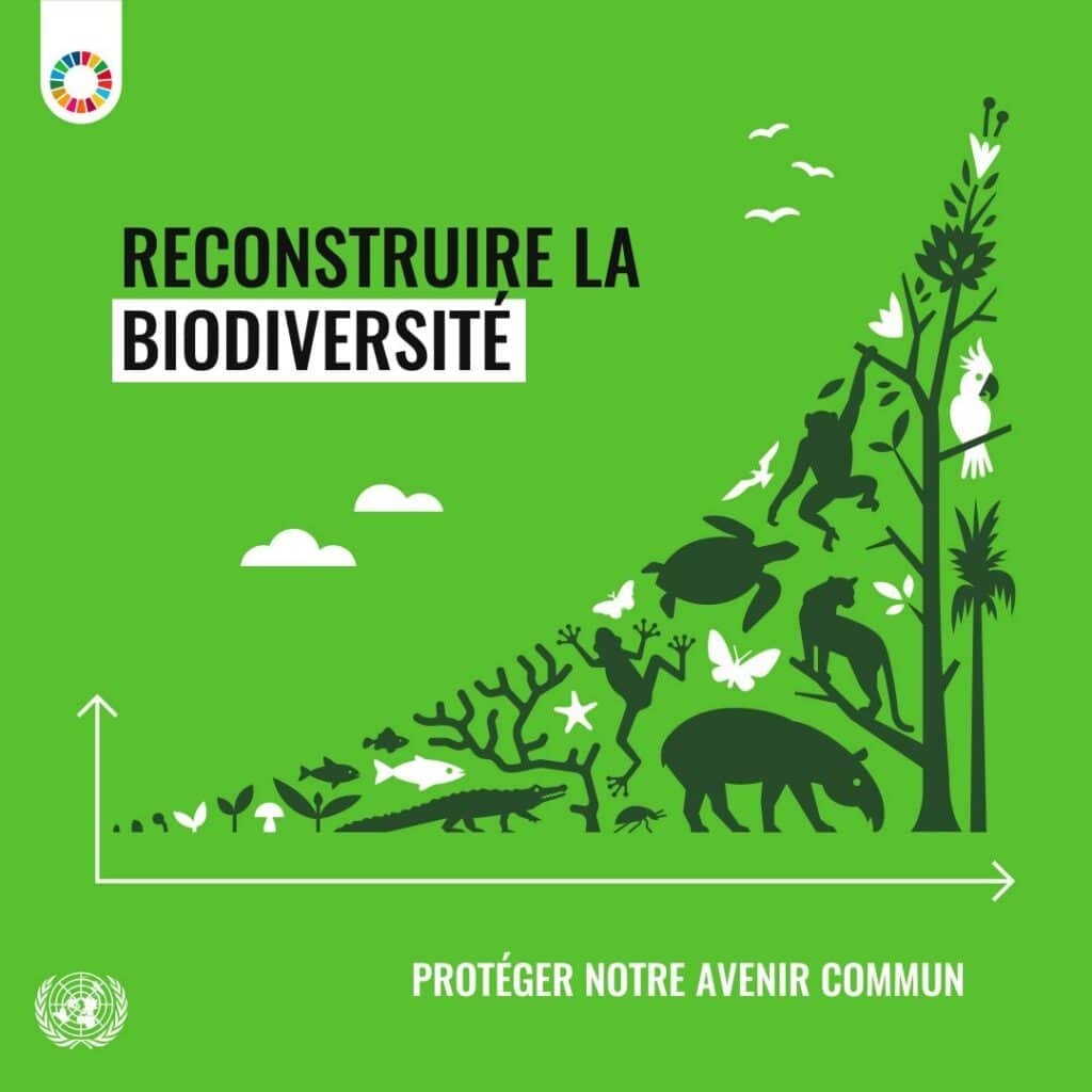 découvrez comment le licenciement affecte la biodiversité et favorise l'invasion d'espèces exotiques dans nos écosystèmes. une analyse essentielle pour comprendre les enjeux environnementaux contemporains.
