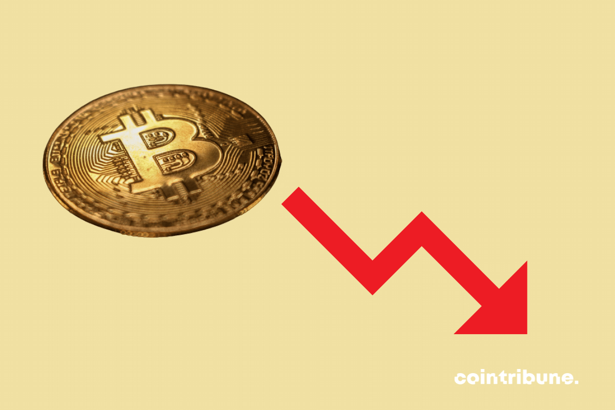découvrez les impacts du bitcoin, du pétrole et du dollar sur l'économie mondiale. qui sont les véritables vainqueurs et perdants dans ce nouveau paysage financier ? analyse approfondie des tendances et des enjeux actuels.