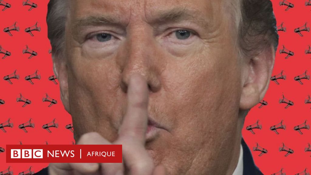 découvrez comment les géants de la tech, sous l'administration trump, ont navigué dans le paysage complexe des impôts. analyse des stratégies fiscales, des controverses et de l'impact sur l'économie américaine.