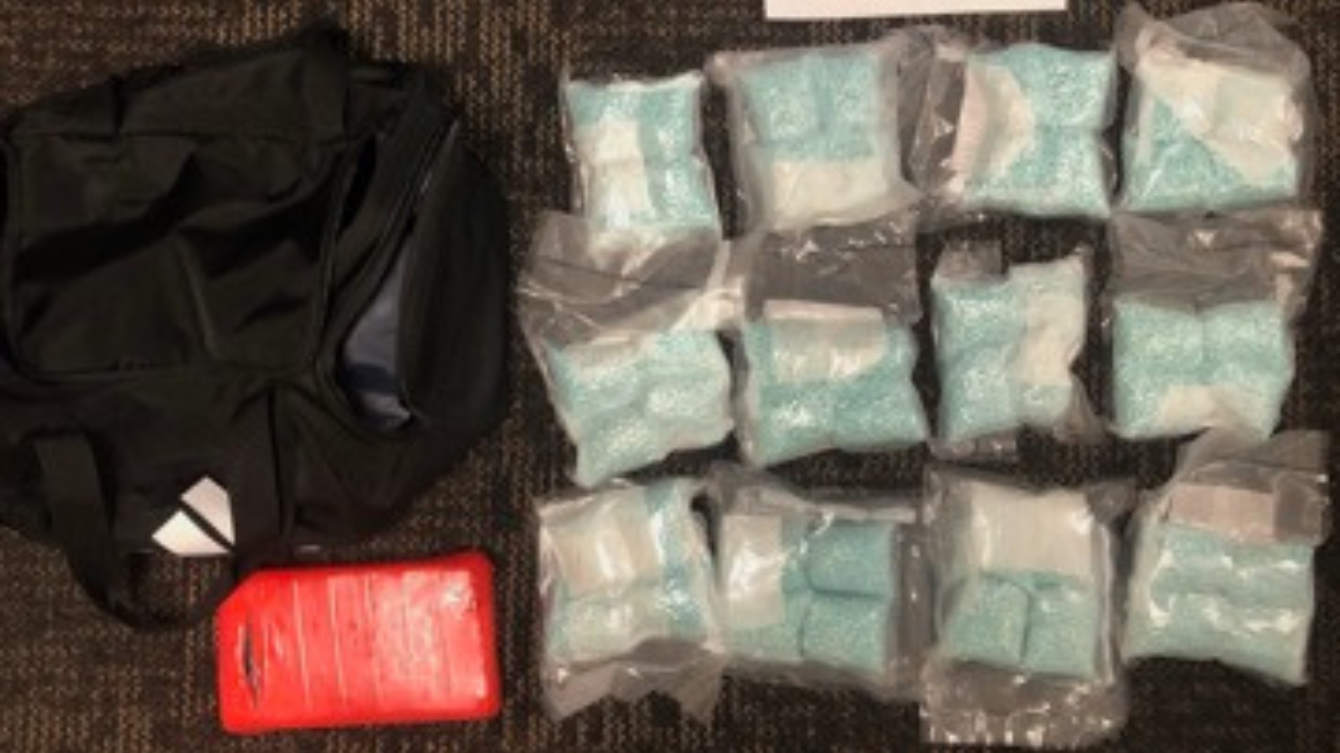 découvrez les dernières informations sur les arrestations massives de cartels : opérations policières d'envergure, impact sur le crime organisé et répercussions pour la sécurité publique.