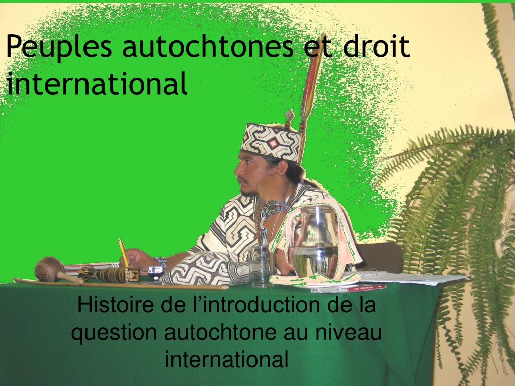 découvrez comment la destruction des écosystèmes menace les droits des peuples autochtones, leur environnement et leur mode de vie. analyse des enjeux et solutions pour préserver ces territoires et cultures uniques.