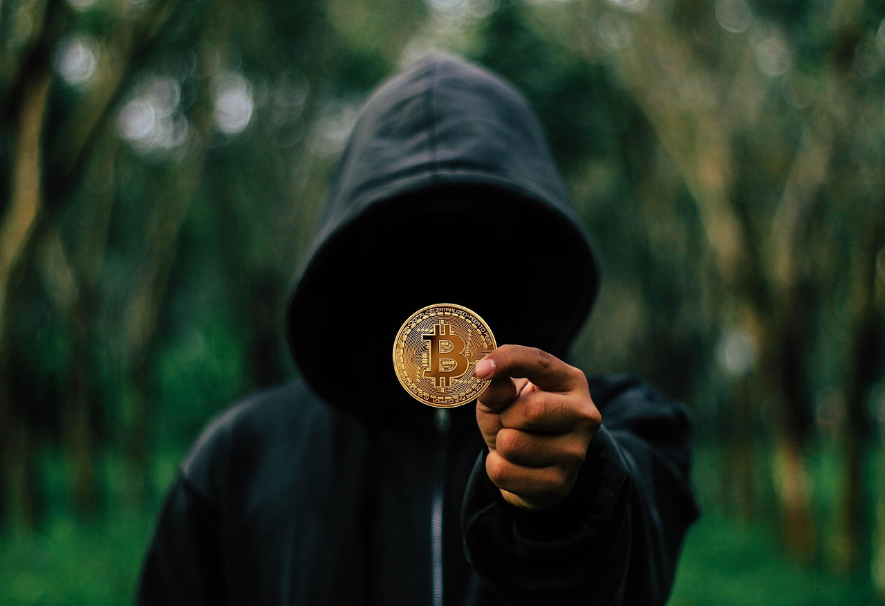 découvrez picsou version moderne : entre bitcoins, investissements numériques et les conseils avisés d’elon musk. plongez dans l’univers d’un richissime canard à l’ère des cryptomonnaies !