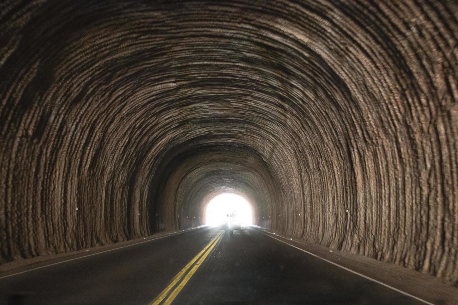 découvrez les liens et controverses autour du tunnel reliant poutine, trump et musk : analyses, rumeurs et implications géopolitiques expliquées.