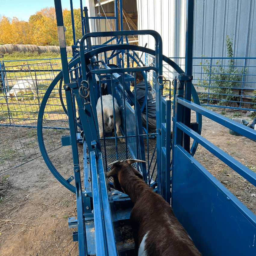 analyse de la chute du bitcoin sous la barre des 100 000 dollars : causes, impacts et perspectives du marché des cryptomonnaies.