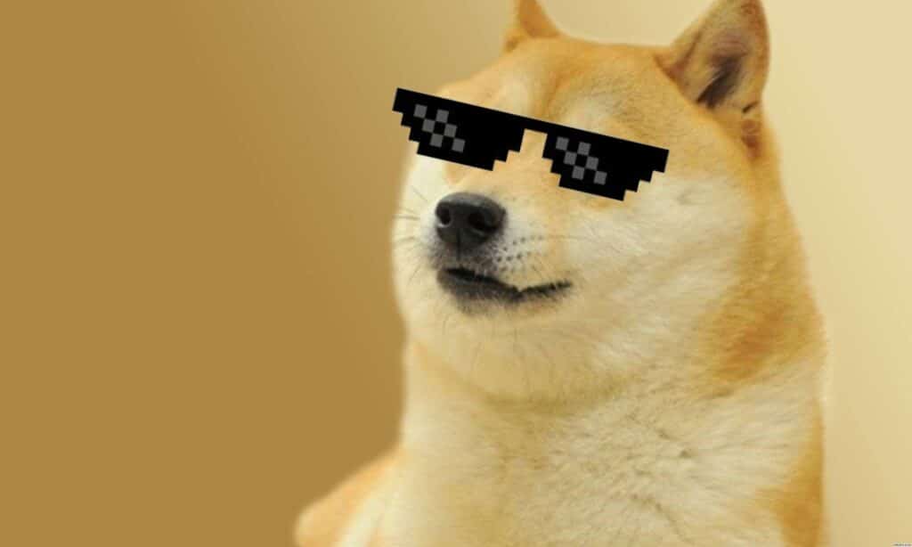 découvrez comment la cryptomonnaie doge, souvent au cœur de polémiques, a disparu avant la fin du mandat de trump, et ce que cela signifie pour l'avenir des monnaies digitales.