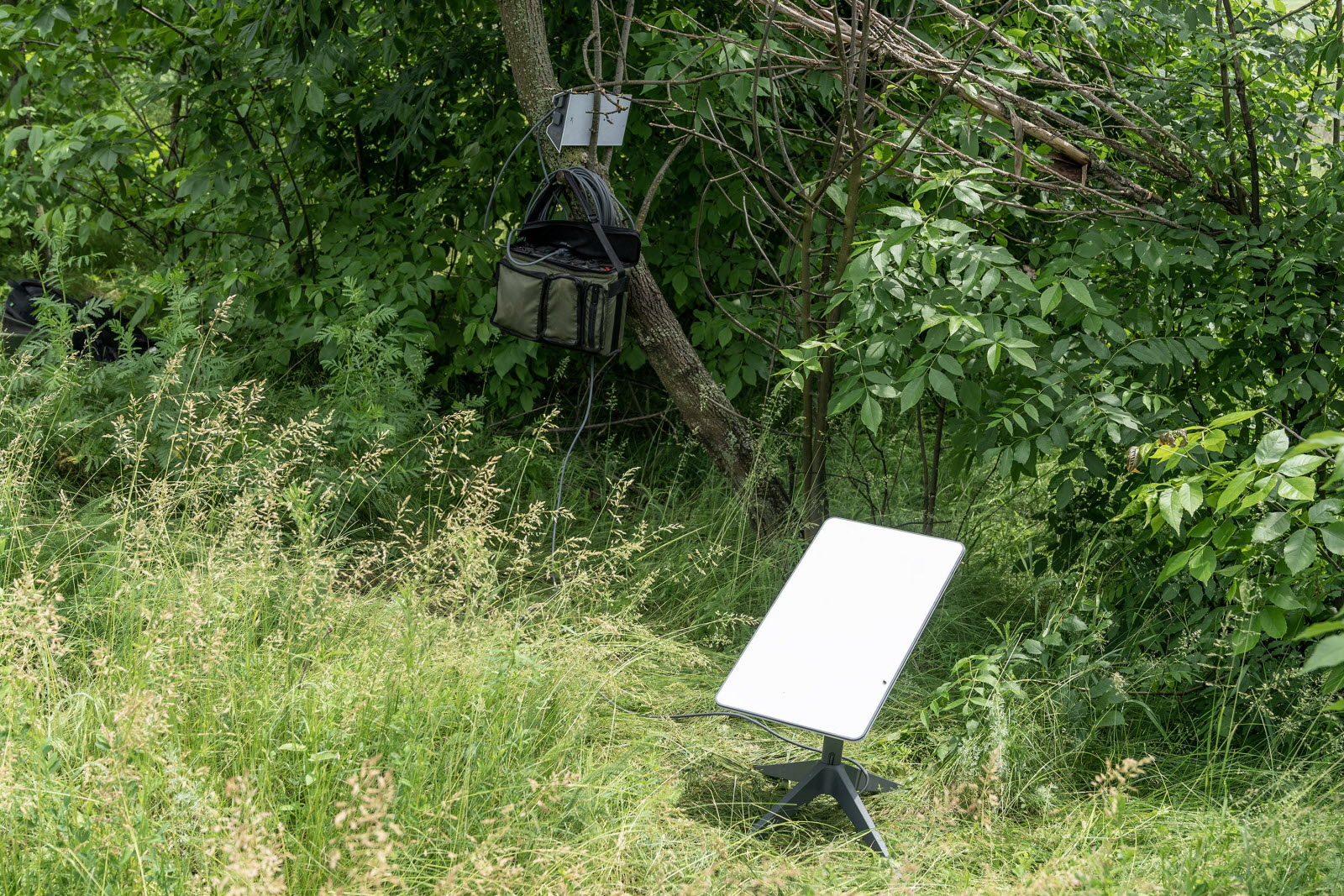 la russie développe une nouvelle arme destinée à neutraliser le réseau starlink, soulevant des inquiétudes sur la sécurité des communications satellitaires.