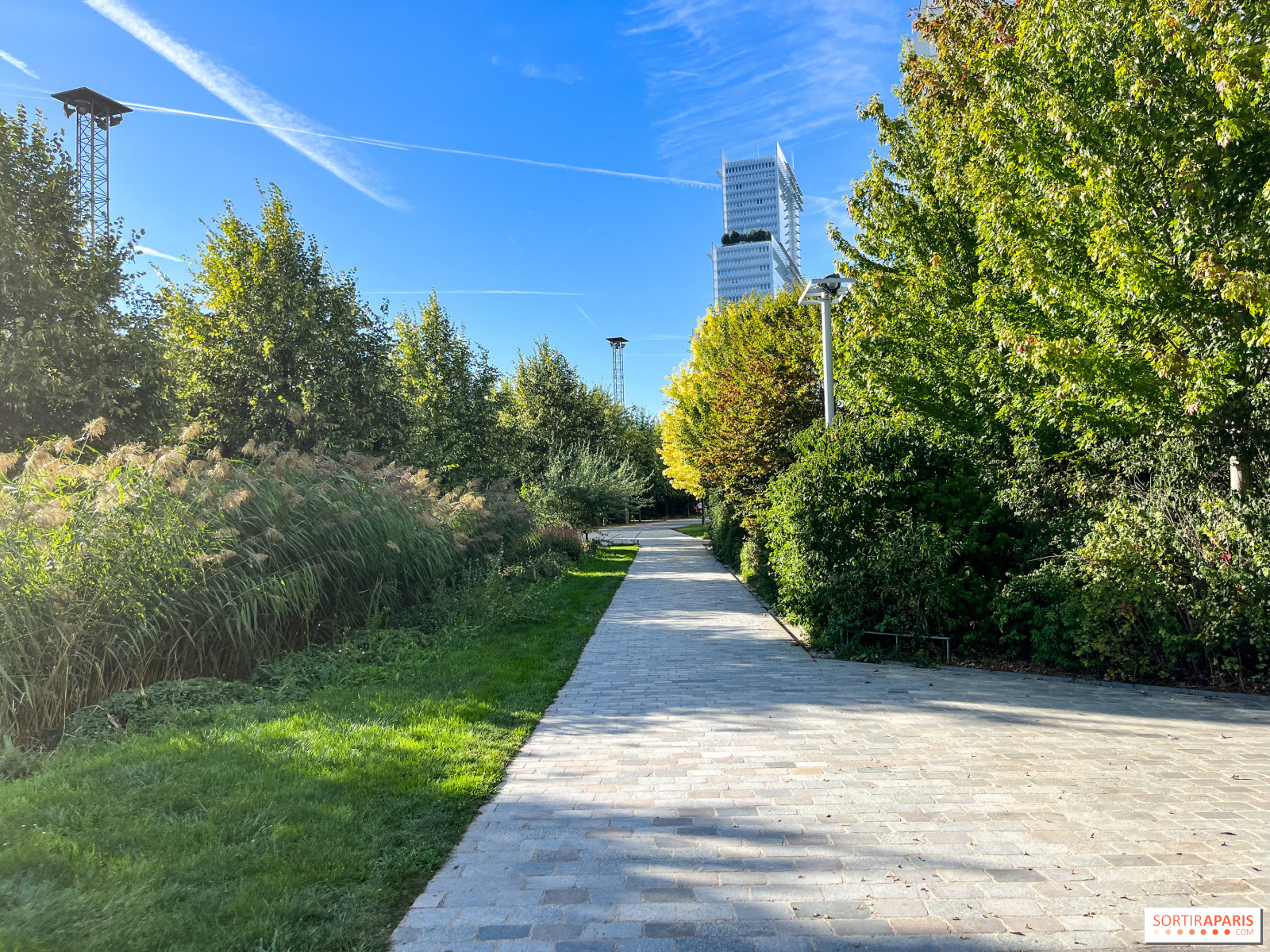 la californie ouvre 200 parcs publics pour célébrer martin luther king, offrant un accès gratuit et des activités commémoratives pour honorer son héritage.