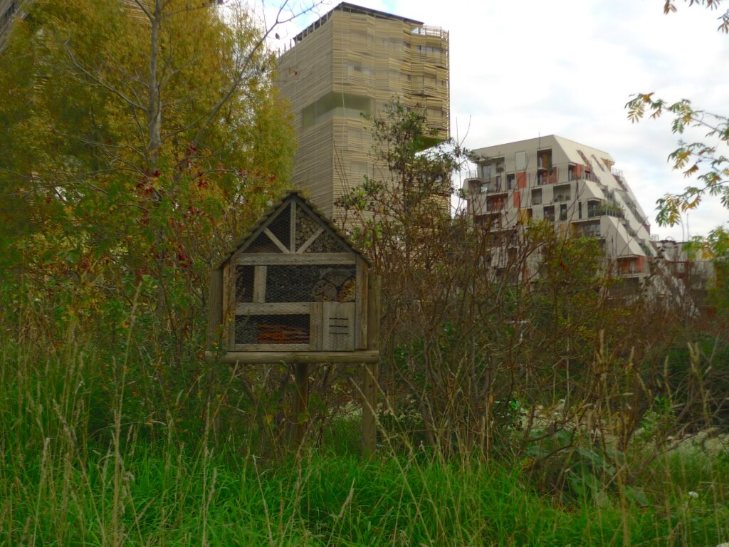 la californie ouvre 200 parcs en hommage à martin luther king pour célébrer son héritage et promouvoir l'égalité et la justice.