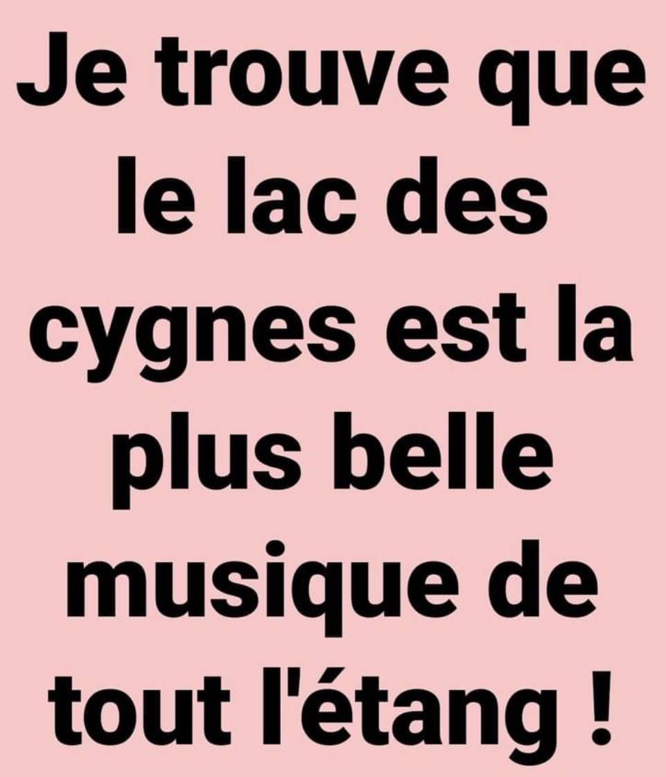 Donald Trump : une année de bouleversements et de ruptures majeures