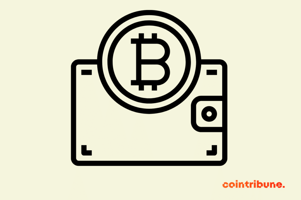 découvrez les enjeux et solutions possibles en cas de perte d'accès à un wallet bitcoin contenant 700 millions de dollars, et apprenez comment sécuriser vos cryptomonnaies efficacement.